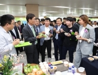  기사 이미지
